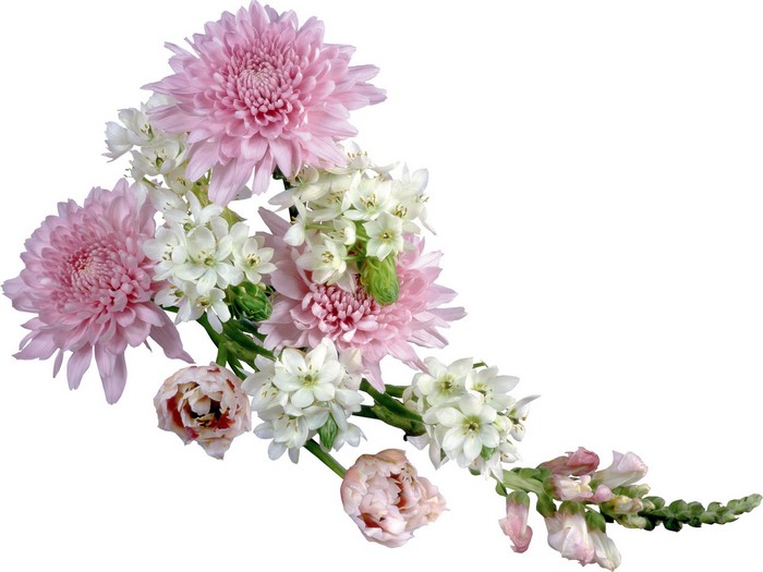 Pink and white flowers bouquet