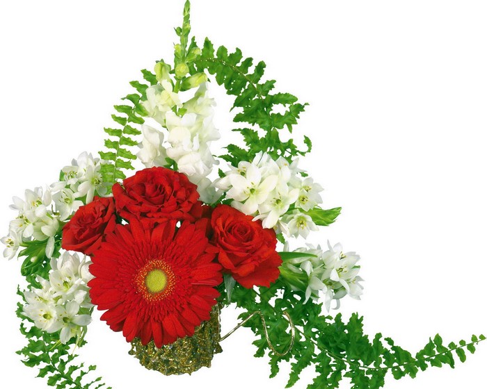 Red Gerbera Daisy and Roses Flower Arrangement