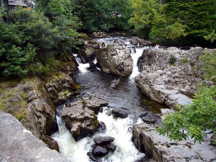 River flowing through rocky terrain with trees