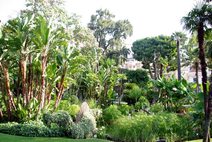 Tropical garden with palm trees and buildings