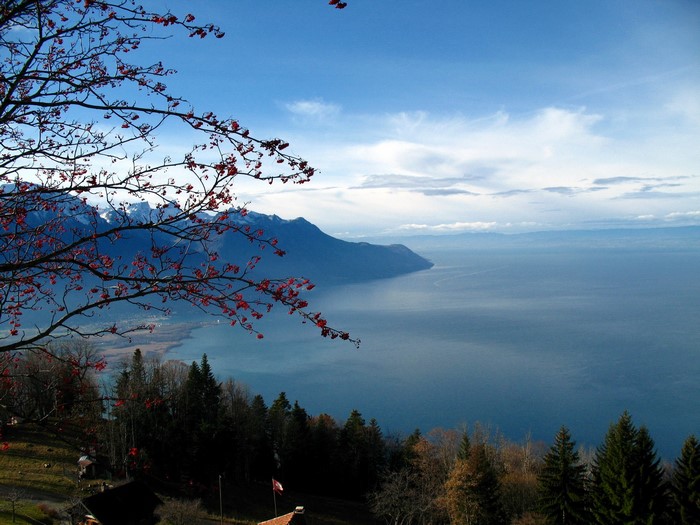 View of Lake Geneva and mountains from Switzerland