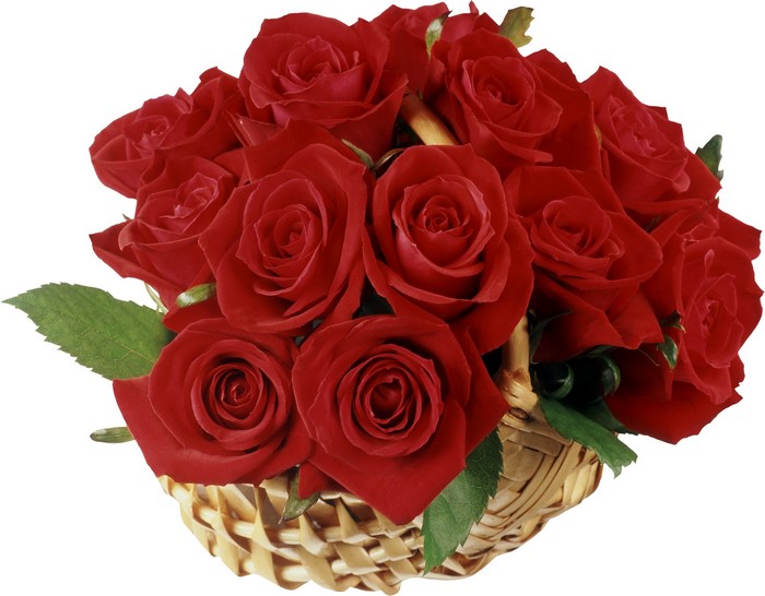 Basket of red roses