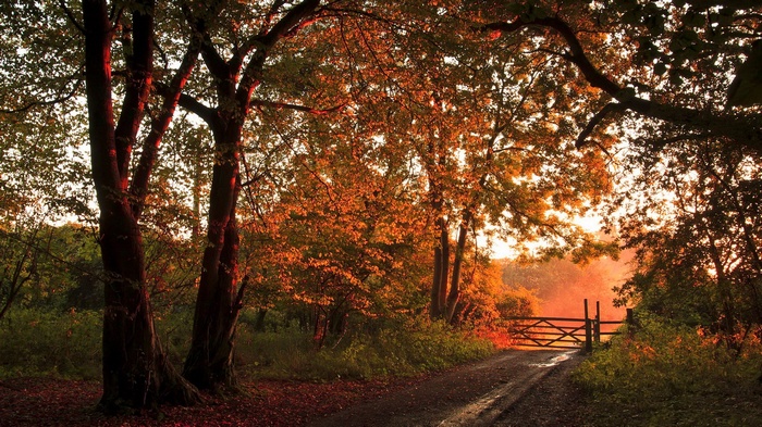 Autumn path with wooden gate at sunset