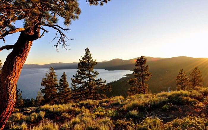 Sunset over a lake with pine trees on a hill