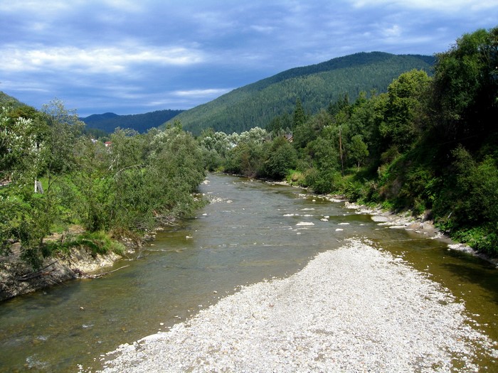 River flowing through a forested mountain valley