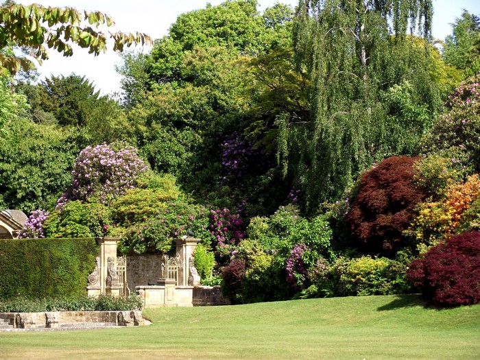 Beautiful garden with blooming rhododendrons and trees