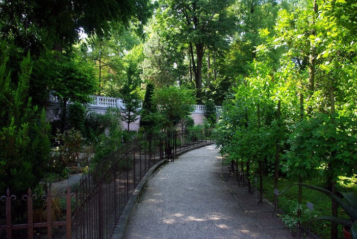 A winding path through a park with trees and a white railing