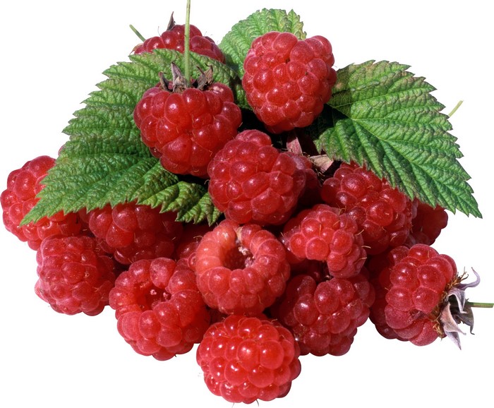 Pile of fresh raspberries with green leaves