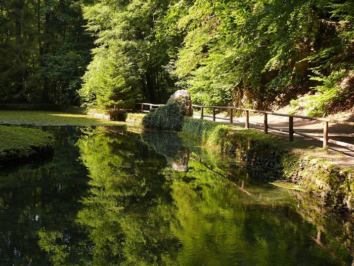Forest lake with wooden railing and reflections