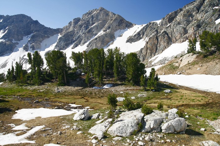 Snow-capped mountains and trees in Grand Teton National Park