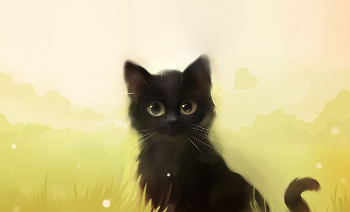 Black kitten sitting in a grassy field