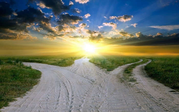 Dirt road splitting at sunrise in a grassy field