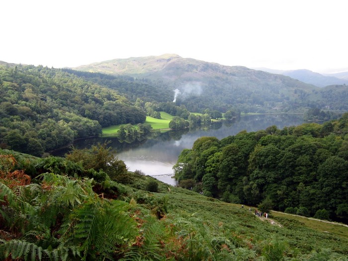 Lake surrounded by trees and hills