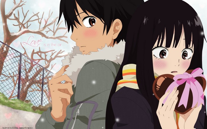 Sawako Kuronuma and Shouta Kazehaya from Kimi ni Todoke