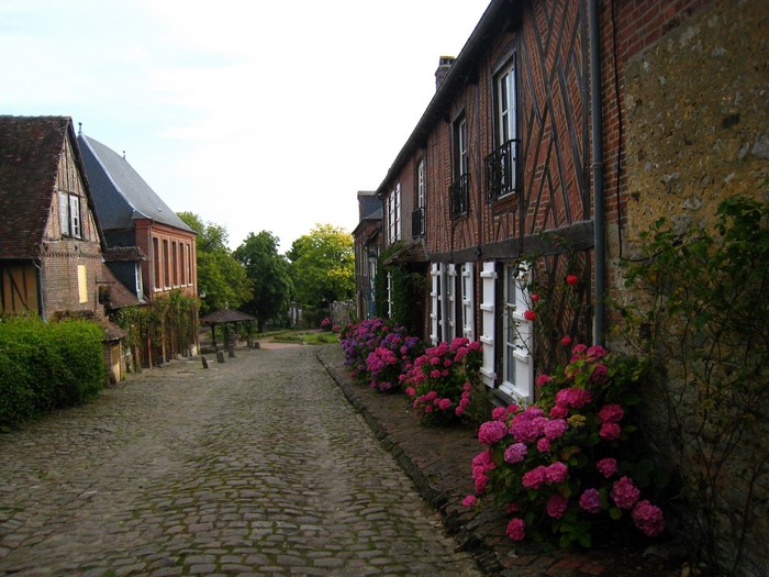 Cobblestone street lined with timber-framed houses and hydrangeas in France