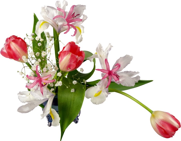 Bouquet of Tulips and Irises