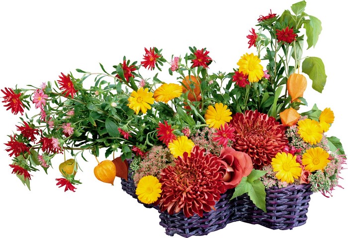 Autumn flower arrangement in a woven basket