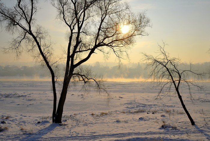 Winter scene with bare trees and snow