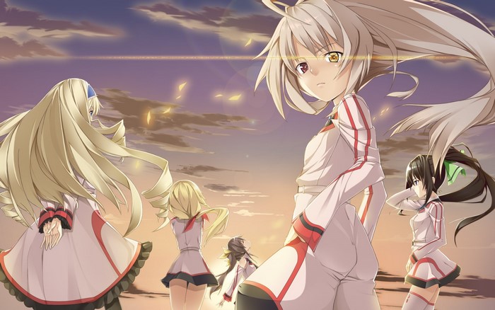 Girls from Infinite Stratos in a sunset