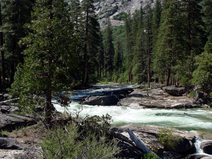 River flowing through Yosemite National Park, California