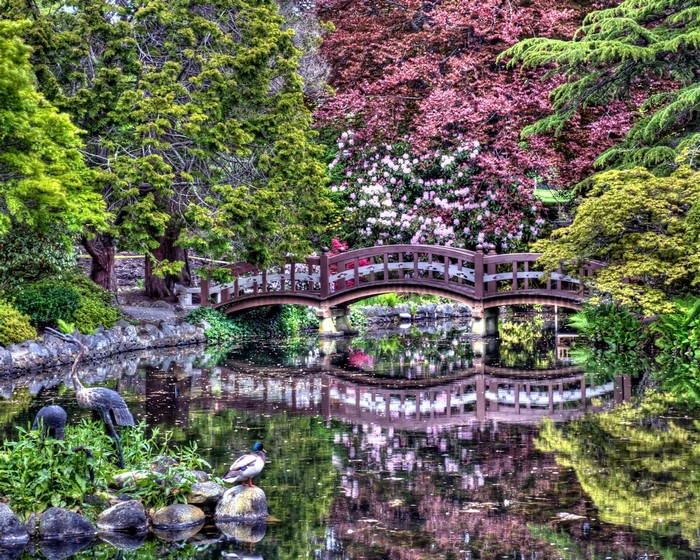 Japanese Garden Bridge Over Water with Birds and Flowers