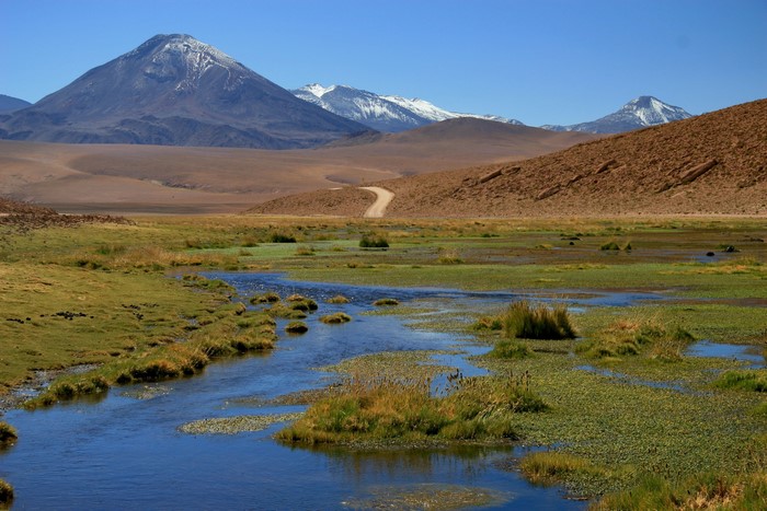 Altiplano landscape with mountains and a stream