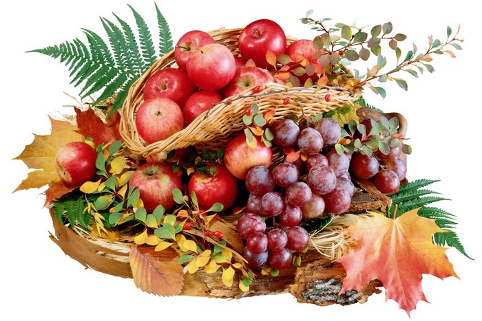 Cornucopia of Apples, Grapes, and Autumn Leaves