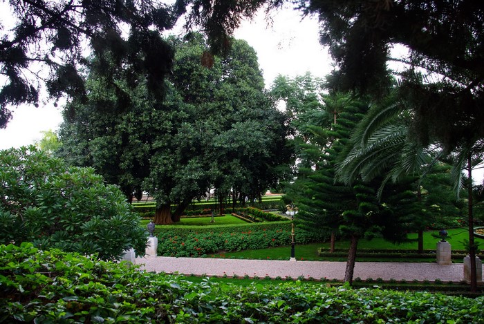 Beautiful Garden with Lush Greenery and Trees