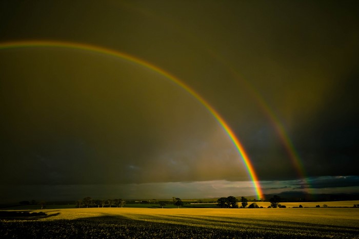 Double rainbow over a field at sunset