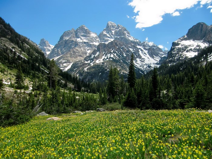Cascade Canyon Grand Teton National Park Wyoming