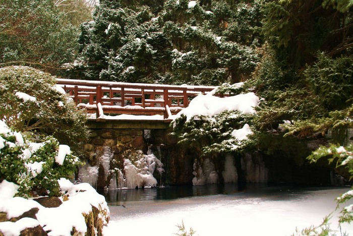 Wooden bridge over a frozen stream in a snowy forest