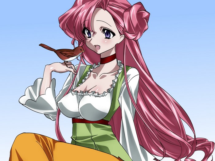 C.C. from Code Geass with a bird