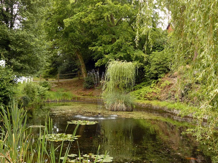 Pond with fountain and weeping willow in the United Kingdom