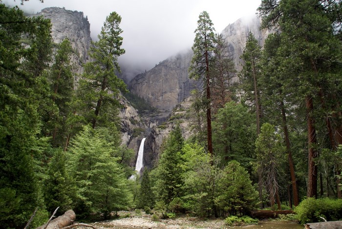 Lower Yosemite Fall, Yosemite National Park, California