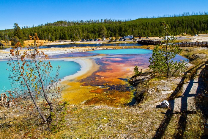 Colorful Thermal Pools in Yellowstone National Park