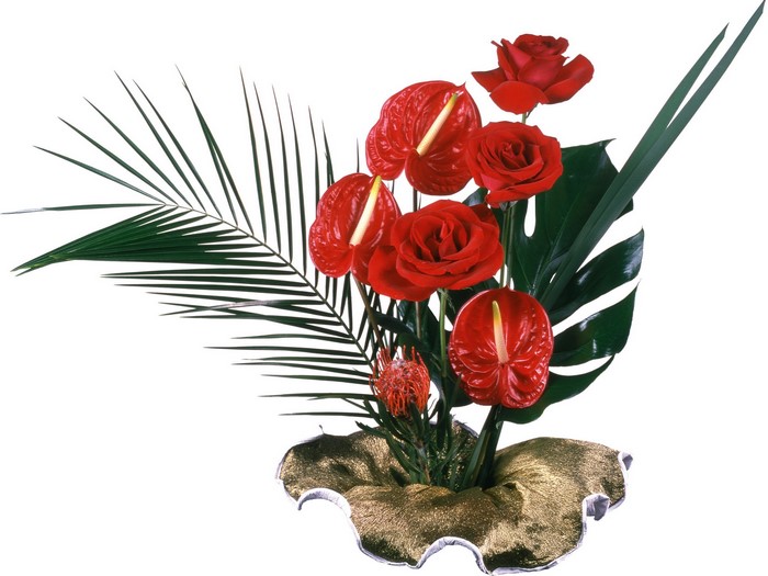 Red Anthurium and Rose Flower Arrangement