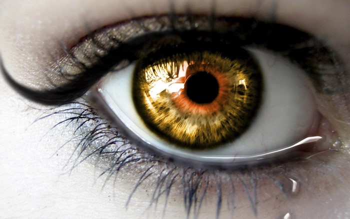 Close-up of a human eye with golden iris and tears