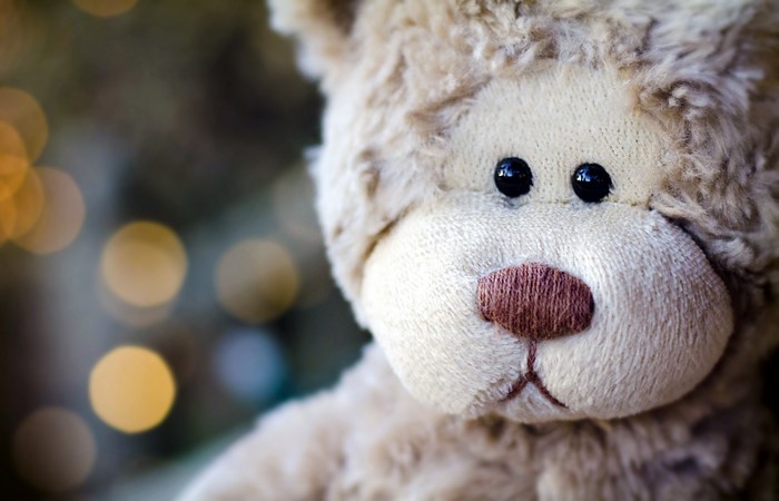 Close-up of a teddy bear toy