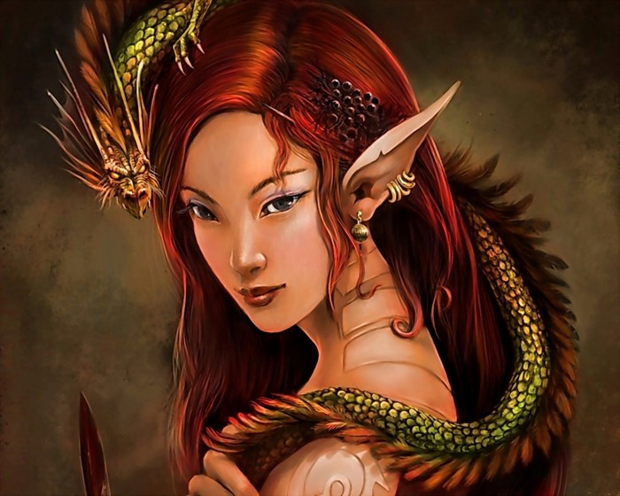 Elf woman with a dragon and a knife