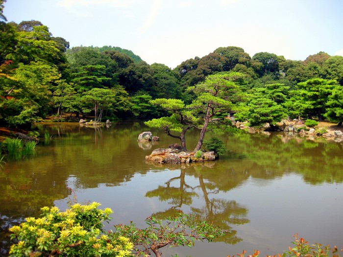 Japanese garden with pond and trees