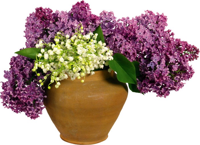 Lilac and Lily of the Valley flowers in a pot