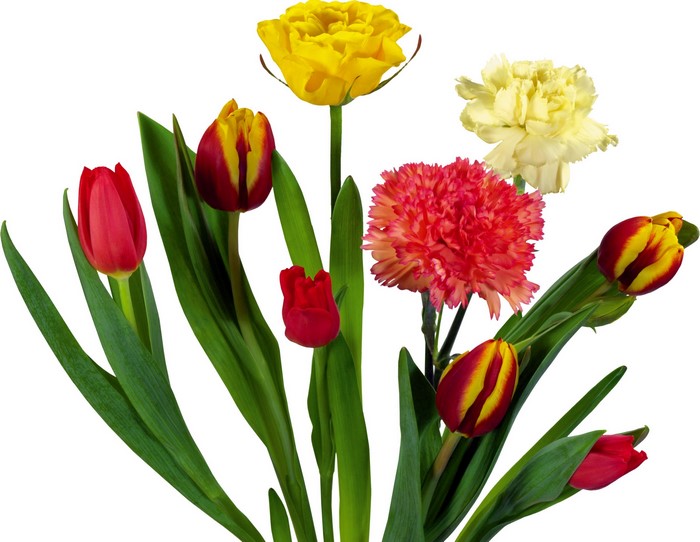 Bouquet of red, yellow, and pink flowers