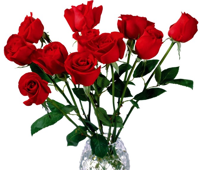 Bouquet of red roses in a vase