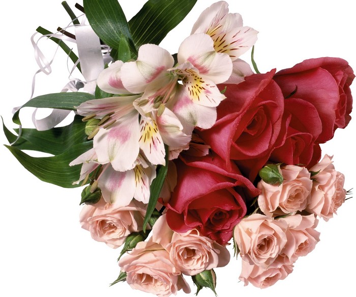 Bouquet of Roses and Alstroemeria with White Ribbon