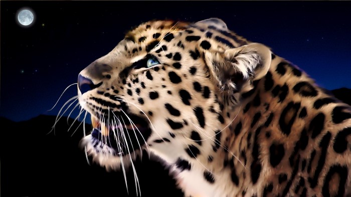 Leopard roaring at night under the moon