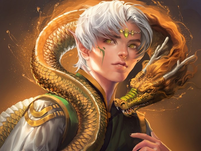 Elf with a golden dragon coiled around him