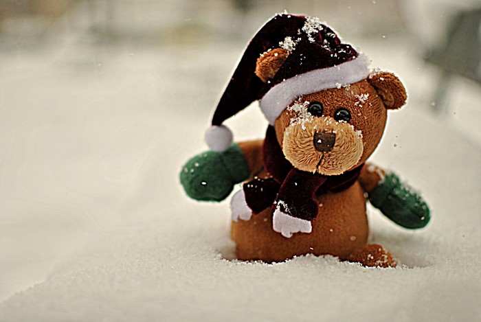Teddy bear in snow with Santa hat