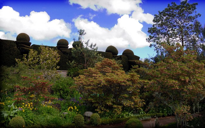 Topiary garden with blooming flowers and trees