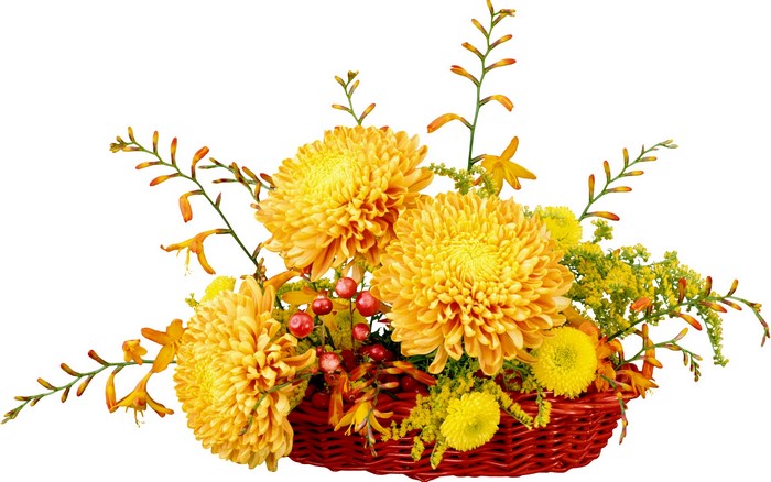 Yellow Chrysanthemums in a Red Basket
