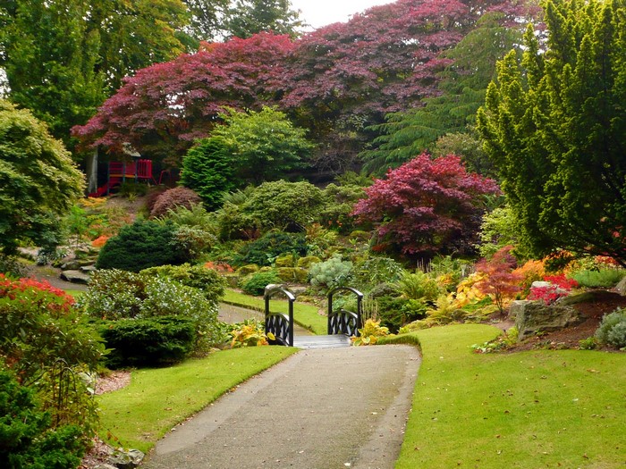 Autumn garden with a bridge and colorful trees
